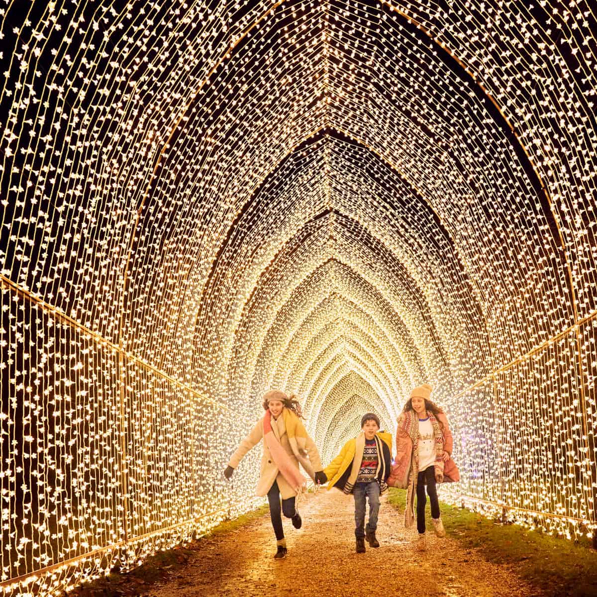 Lightscape at Houston Botanic Garden Cathedral of Lights