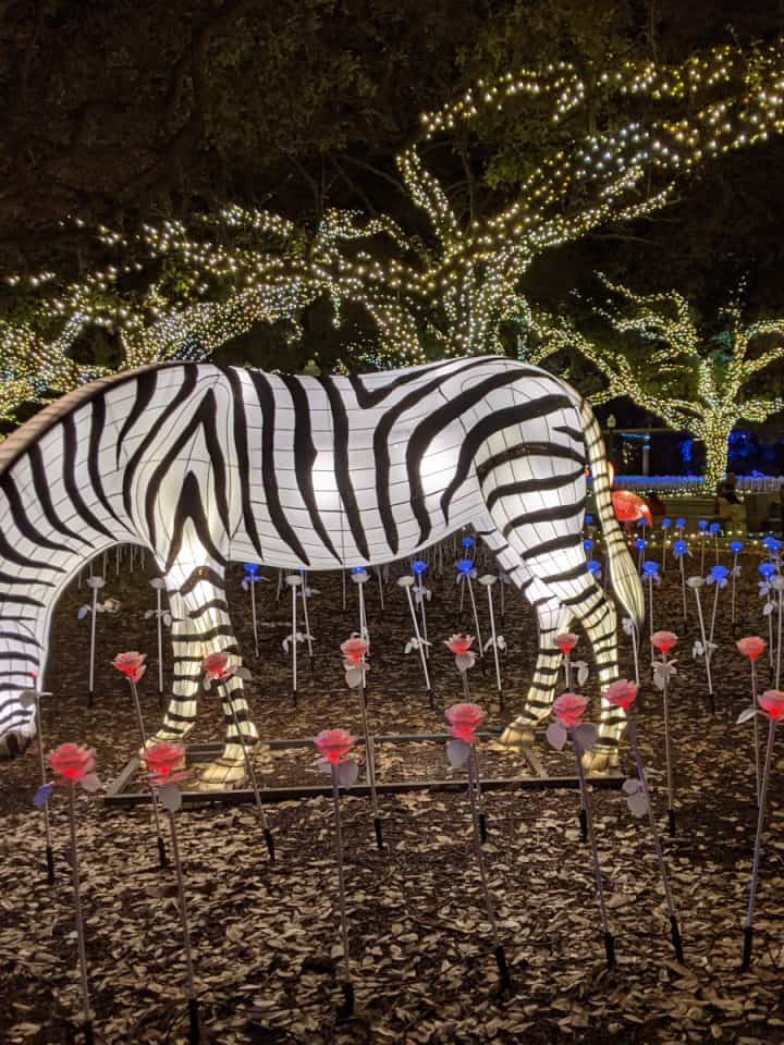Houston Zoo Lights Zebra Lantern