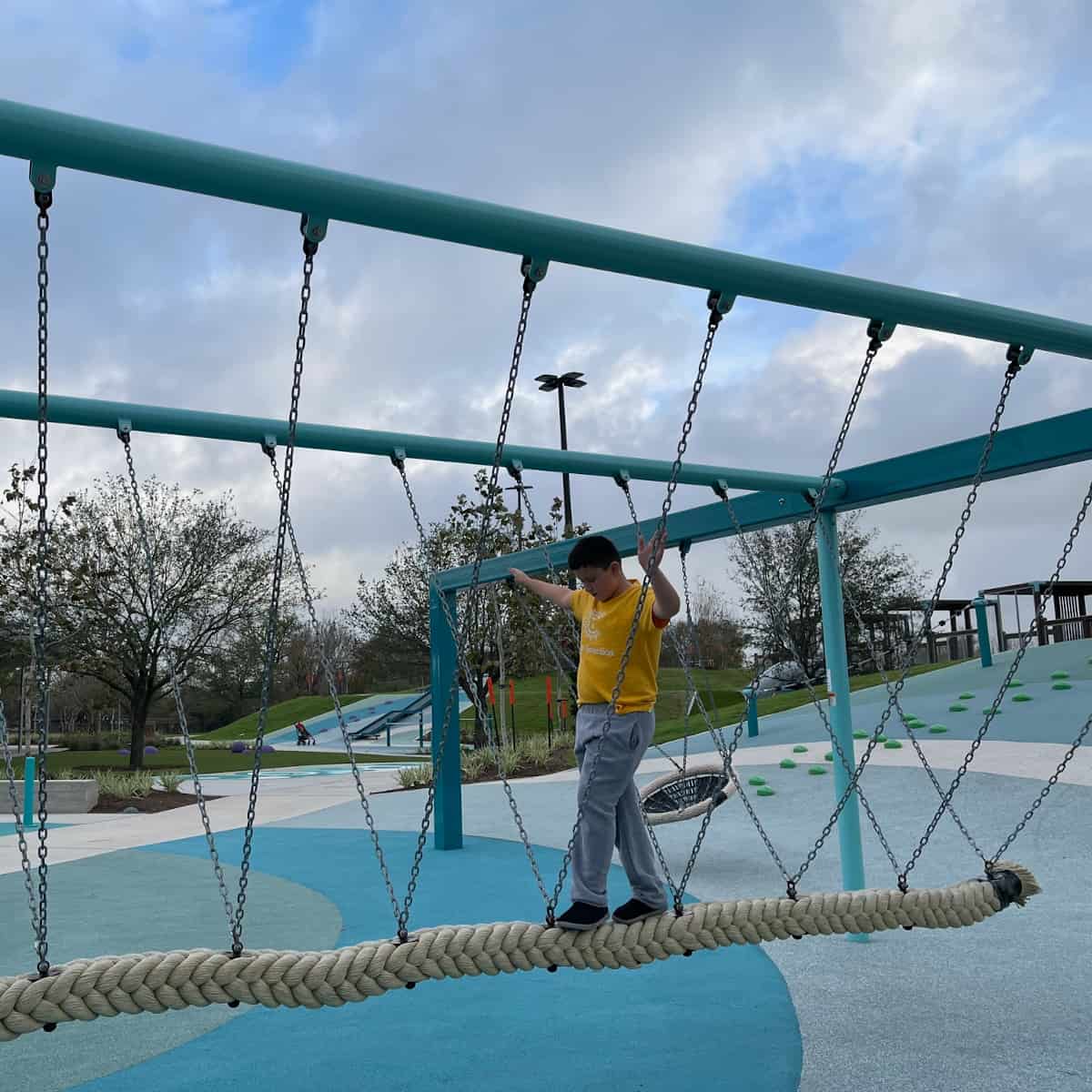 James Driver Park Rope Bridge at Playground