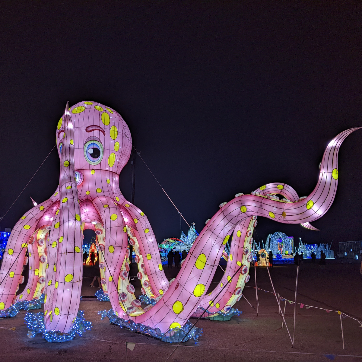 Magical Winter Lights Octopus