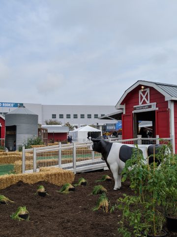Fun on the Farm at Rodeo Houston