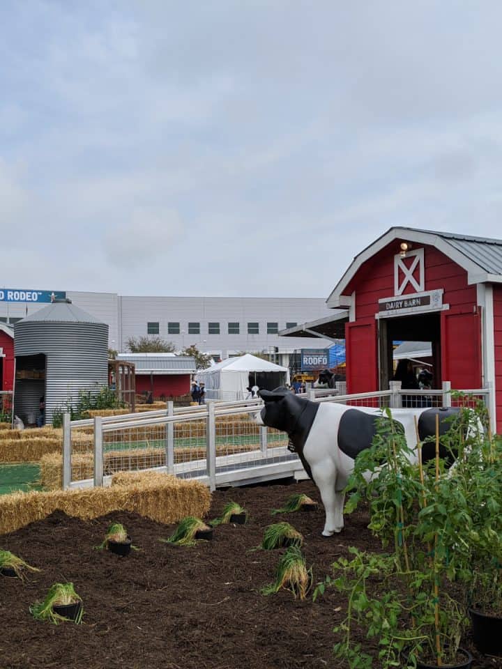 Fun on the Farm at Rodeo Houston