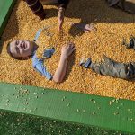 Playing in corn box at Rodeo Houston