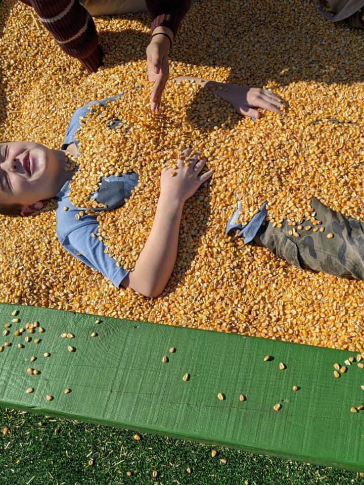 Playing in corn box at Rodeo Houston