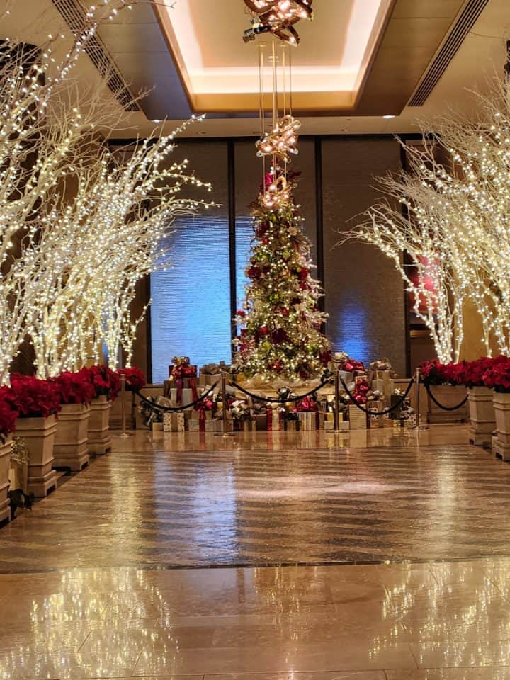 Christmas Tree at Hilton Americas