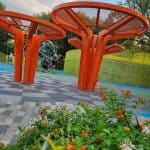 Levy Park Flowers and Splashpad