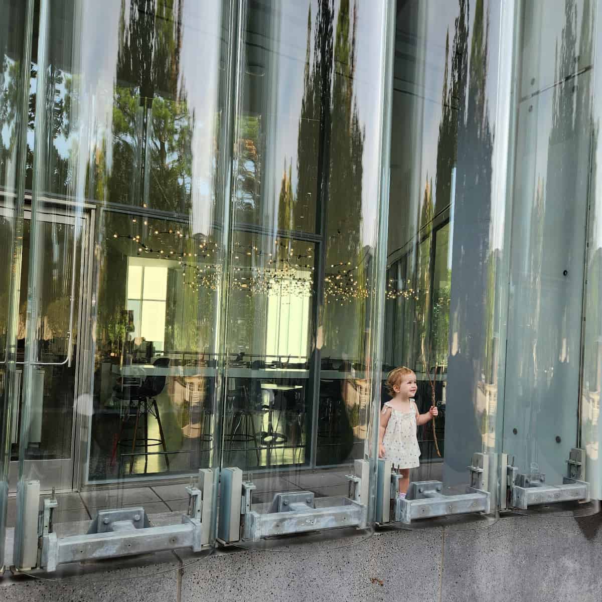 Museum of Fine Arts Houston Kinder Building