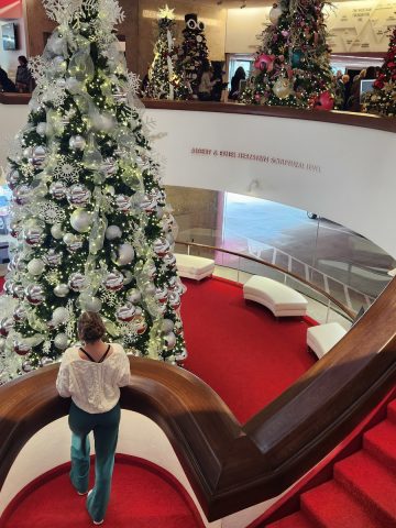 Main Christmas Tree at Alley Theatre for Christmas Carol