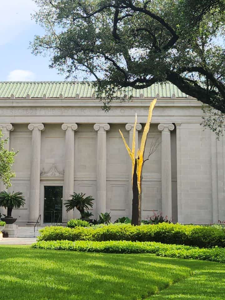 Museum of Fine Arts Houston Golden Tree