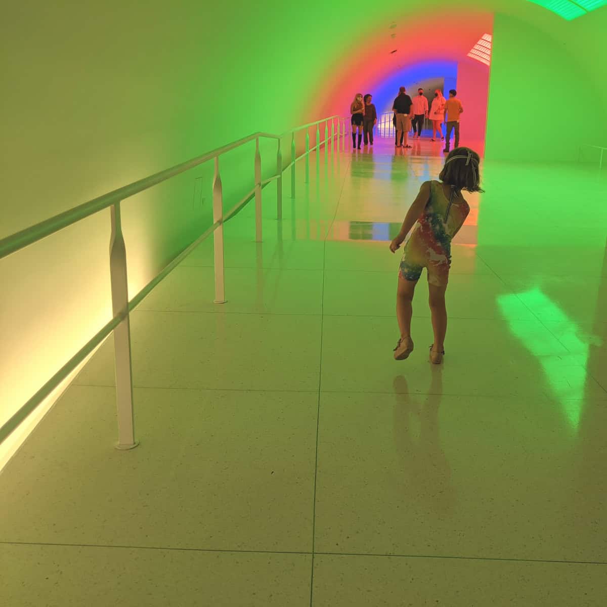 Museum of Fine Arts Light Tunnel