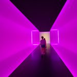 Museum of Fine Arts Houston Tunnel to Beck Building