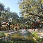 Houston Zoo Zoo Boo Reflecting Pool