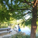 Mermaid Costume at Hermann Park Lake