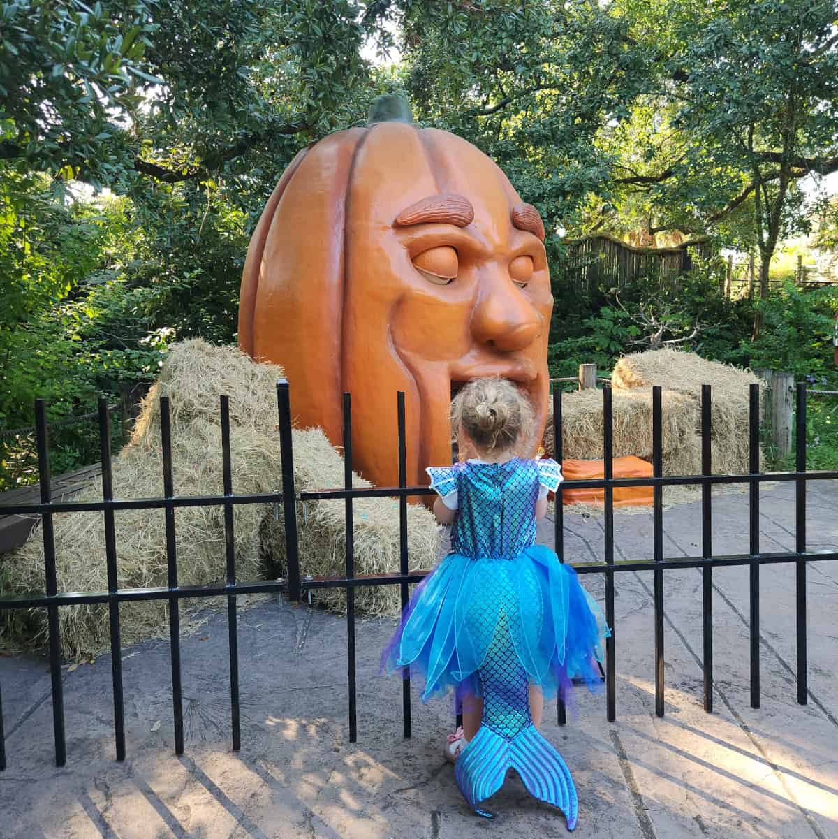 Giant singing pumpkin at Houston Zoo Zoo Boo