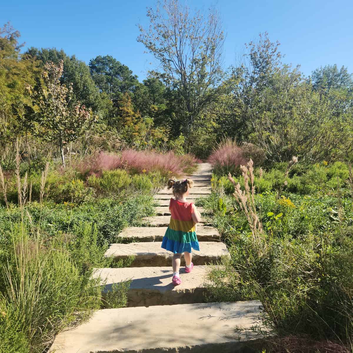 The Commons Hermann Park Rock Walk Way