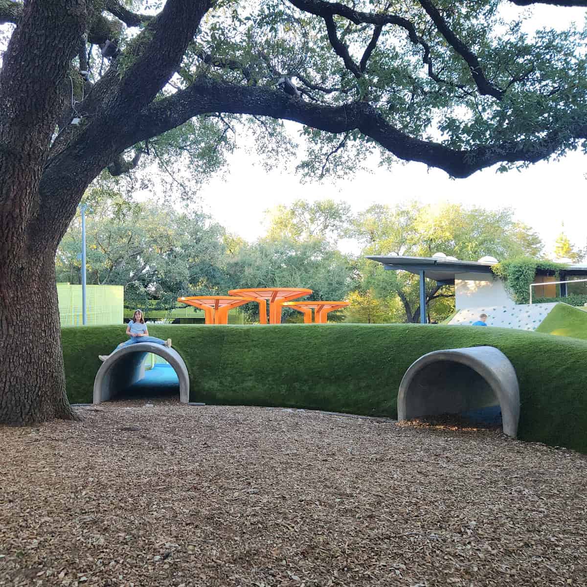 Levy Park Playground with tubes and oak tree